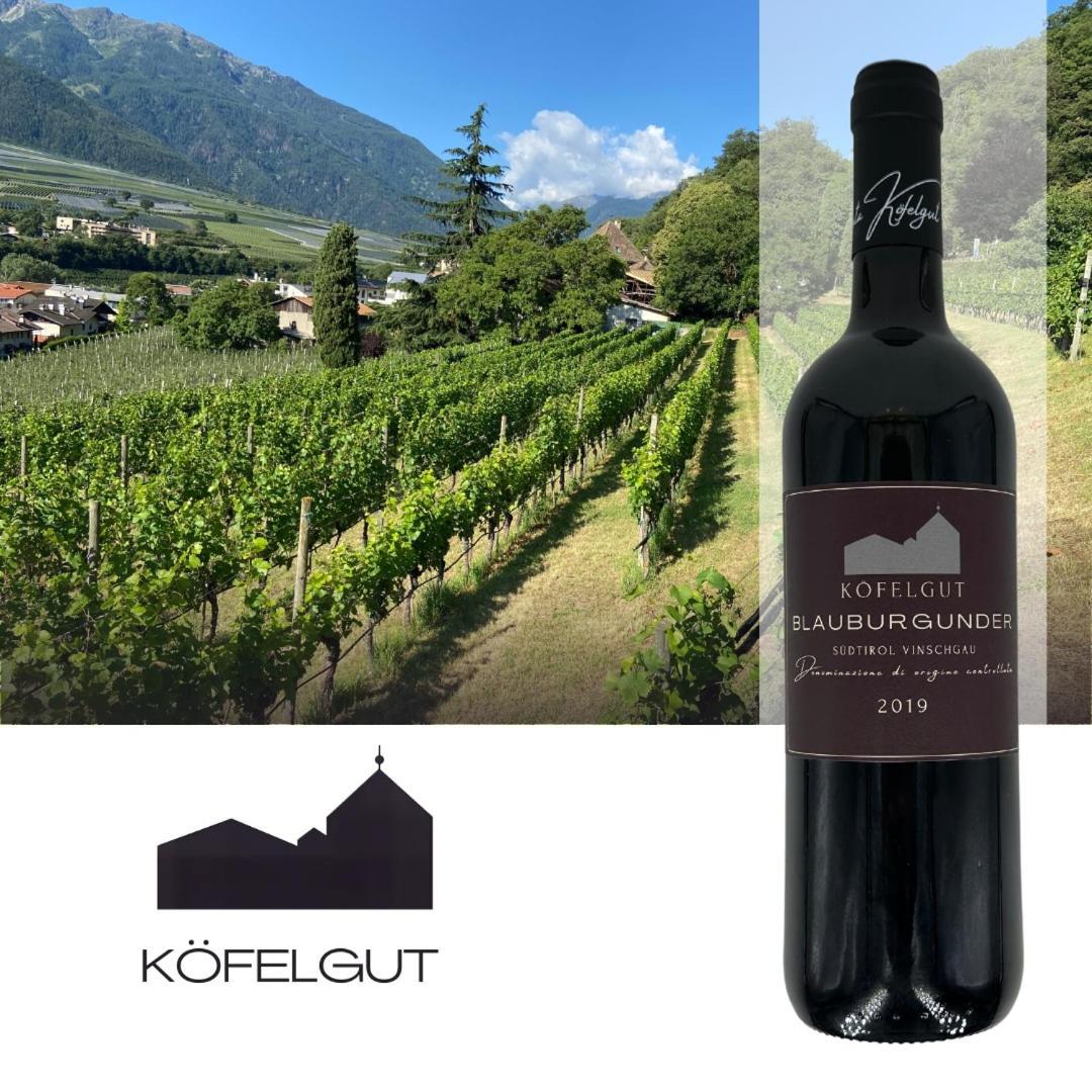דירות קסטלבלו Weingut Koefelgut - Turris Vini מראה חיצוני תמונה